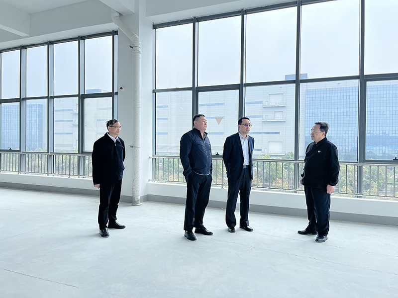 广东季华实验室副主任孟徽与广东季华新型显示装备公司总工程师项阳莅临合肥欧莱，深化国际显示技术合作与交流